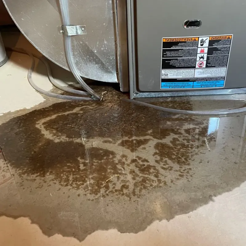 Pipe Burst and Leak Restoration in Charles Mix County, SD